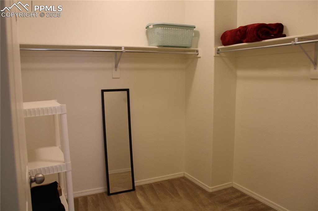 Image 15 of 20: Walk in closet with carpet flooring