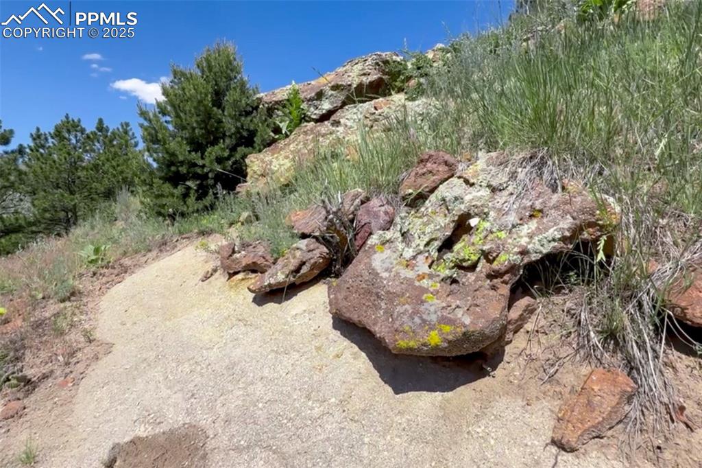 Image 10 of 21: Yard