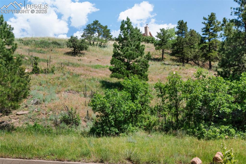 Image 3 of 21: Other