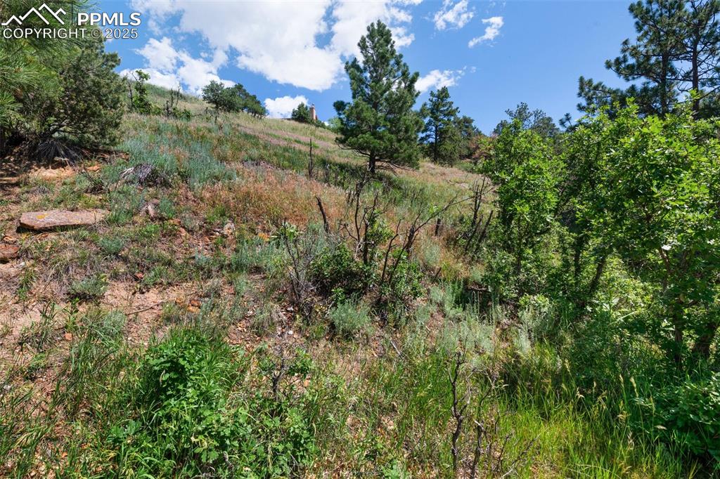 Image 6 of 21: Other