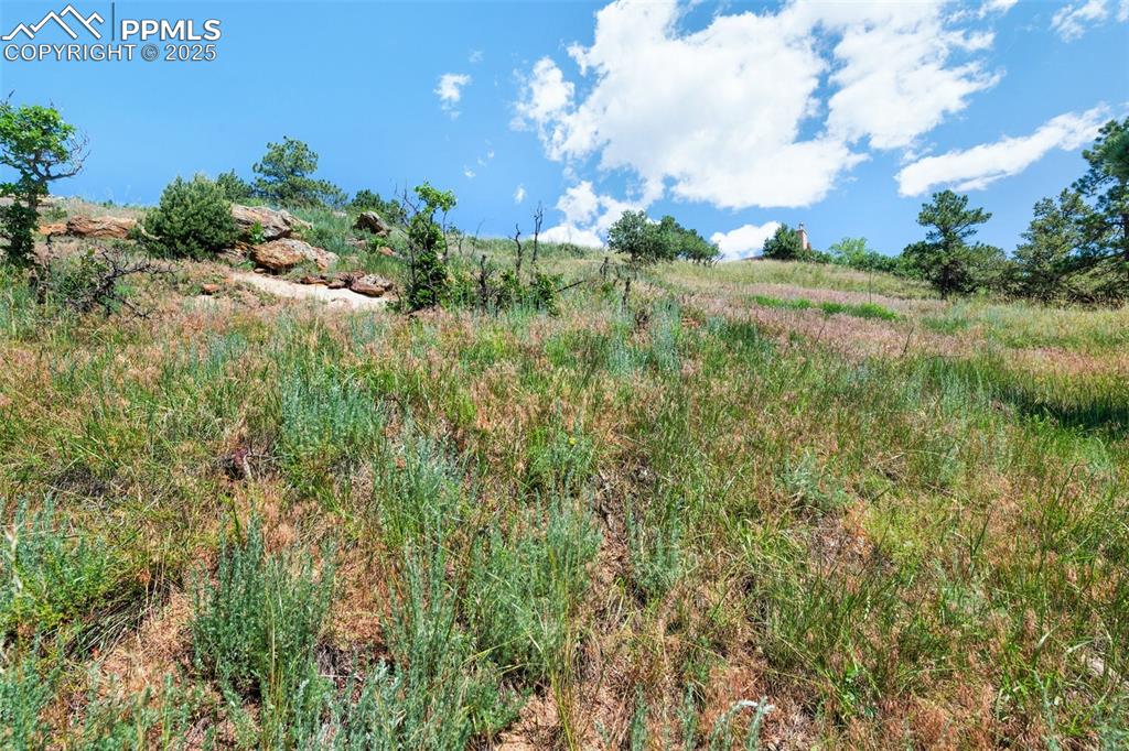 Image 7 of 21: Other