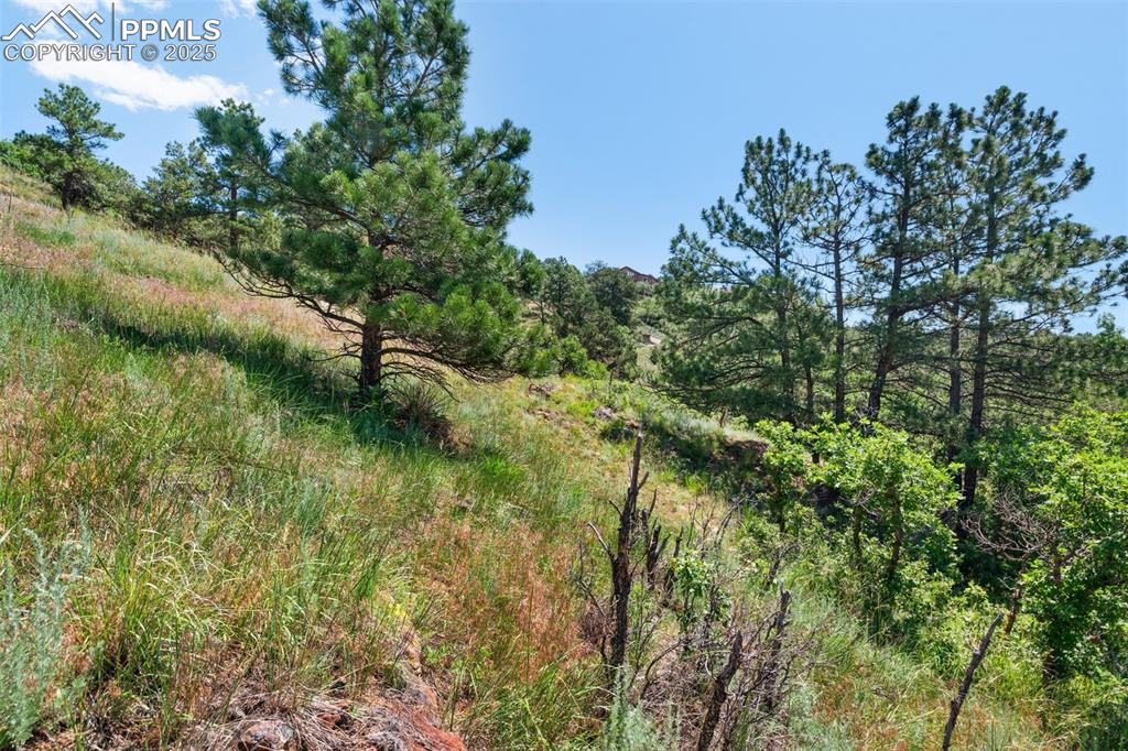 Image 8 of 21: Other