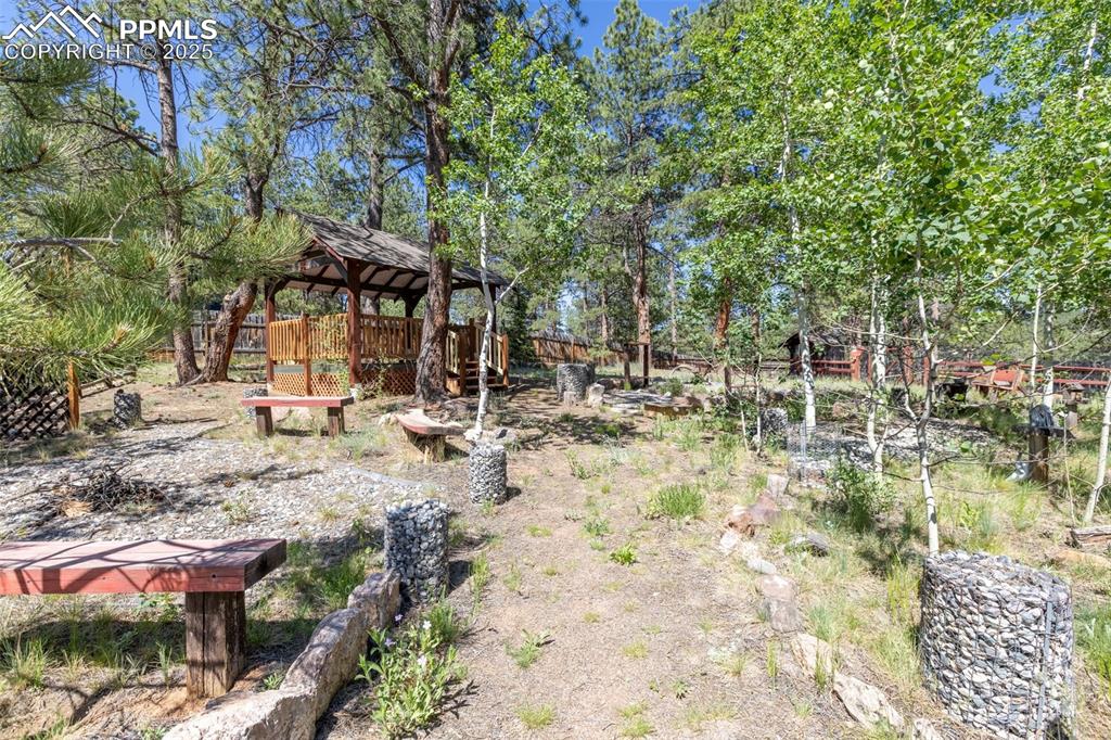 Image 43 of 48: Yard