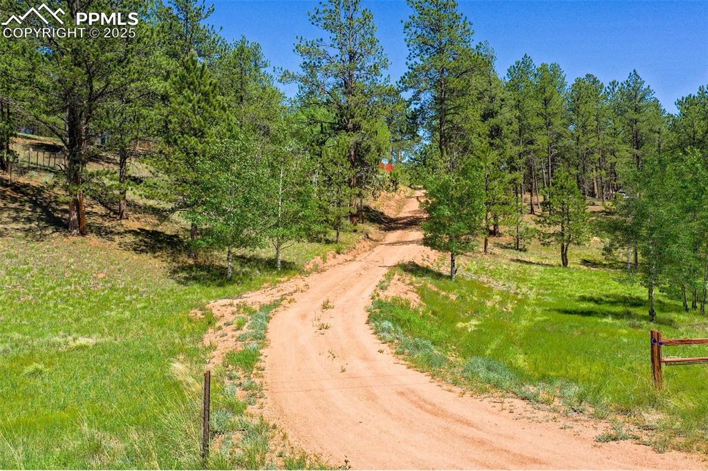 Image 47 of 48: Driveway to the home