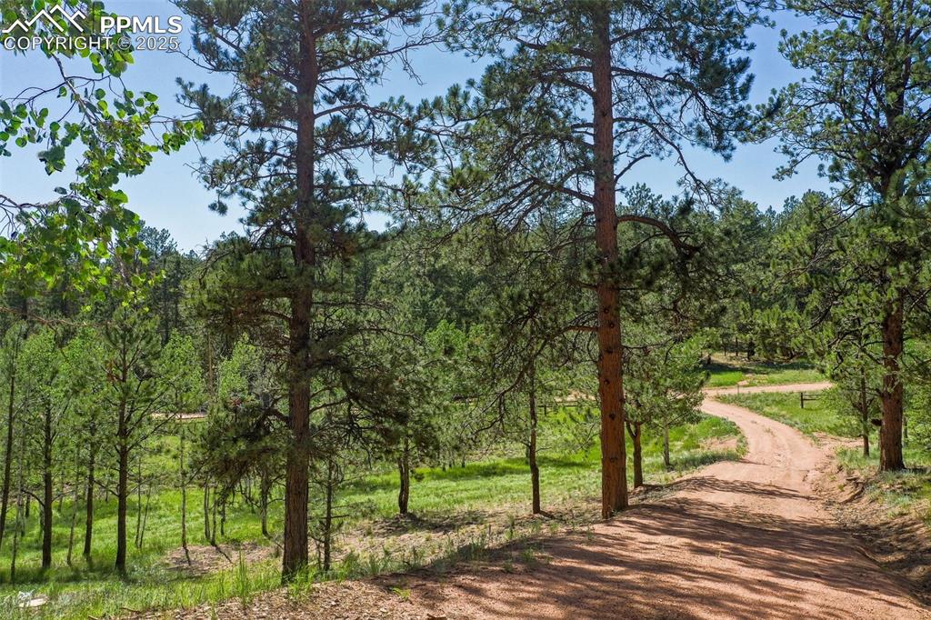 Image 48 of 48: Driveway leaving the home