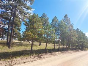 Image 3 of 7: Community