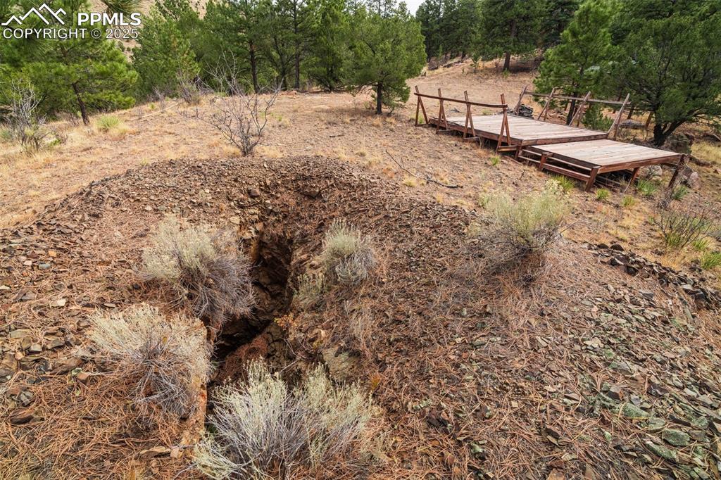Image 12 of 25: View of yard