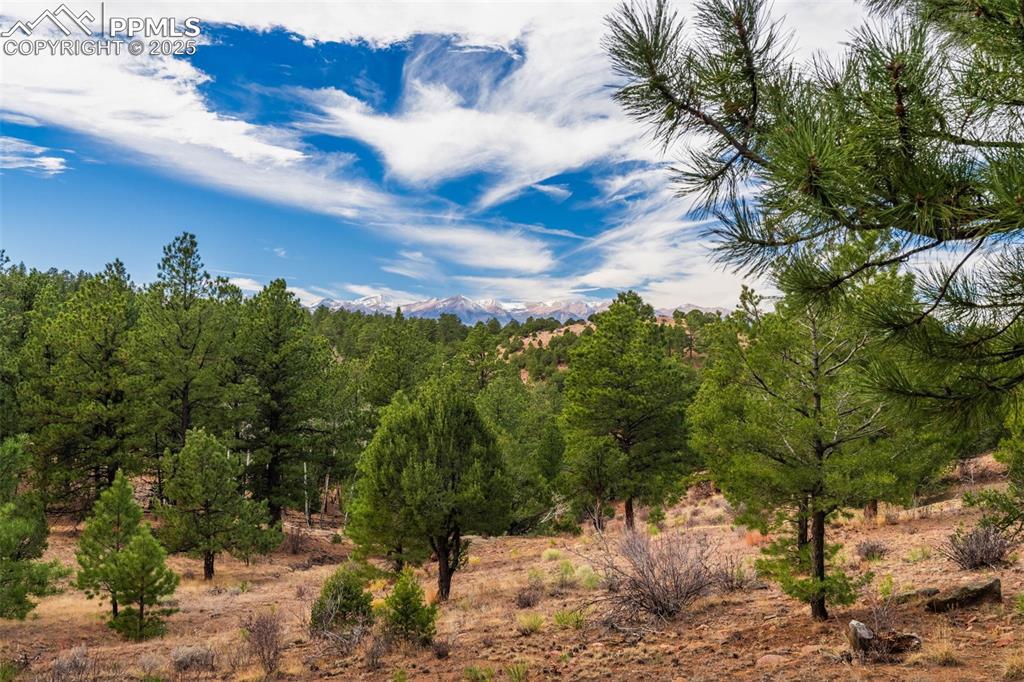 Image 17 of 25: View of wooded area featuring a mountain view
