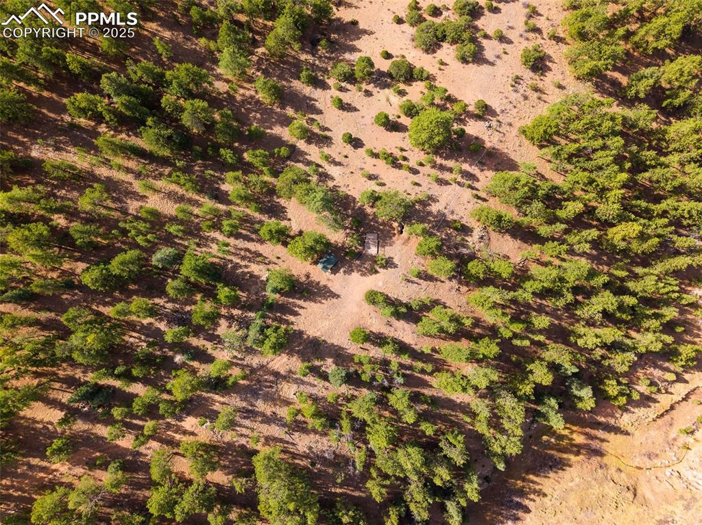 Image 20 of 25: Bird