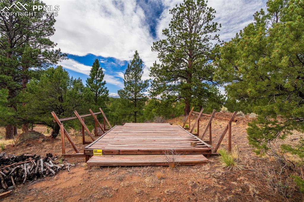 Image 6 of 25: View of yard