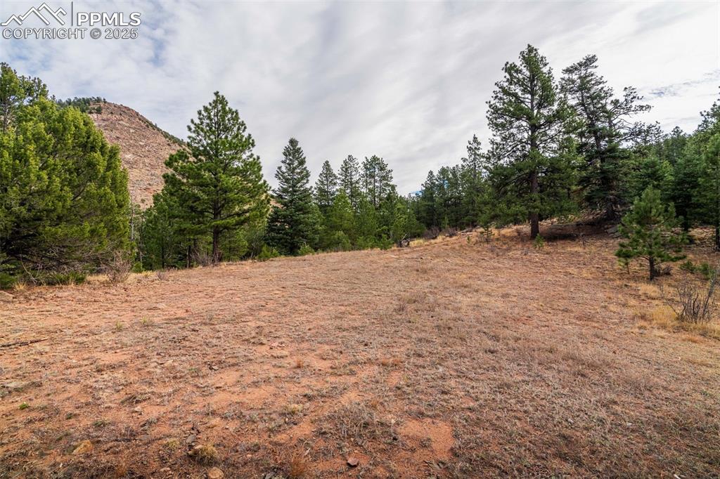 Image 8 of 25: View of undeveloped land