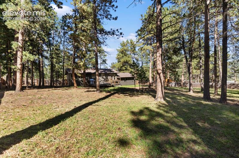 Image 4 of 26: Enormous backyard!!
