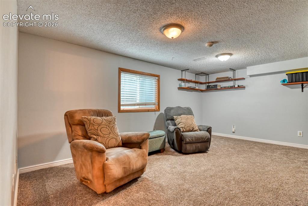 Image 30 of 40: Spacious room featuring carpeting, light gray walls, a window with wood tri