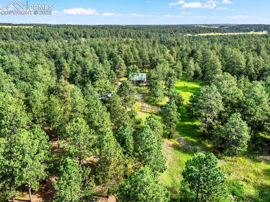 Image 40 of 45: Aerial View