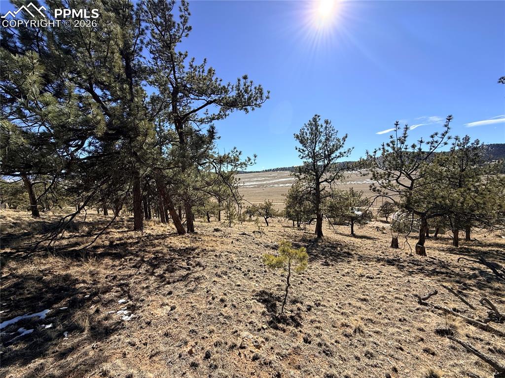 Image 27 of 36: Other