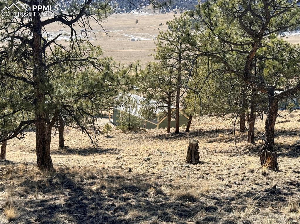 Image 28 of 36: Other