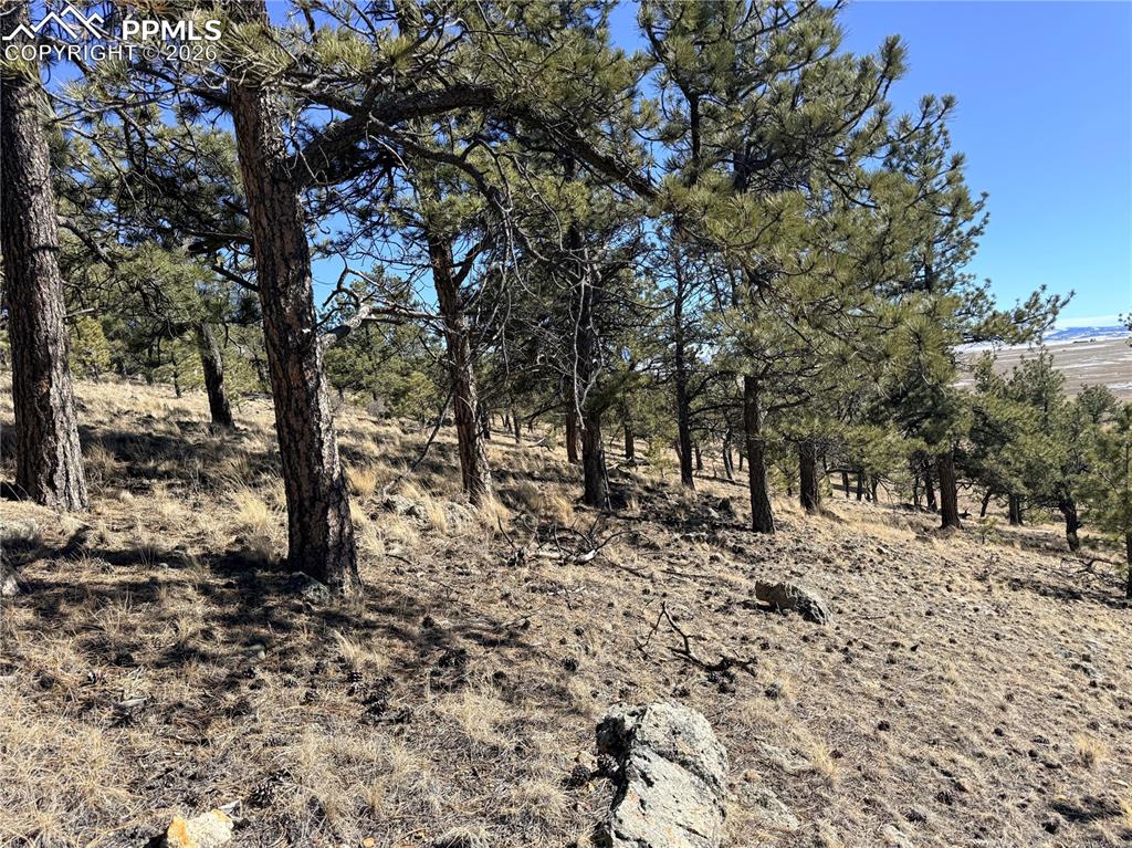 Image 29 of 36: Other