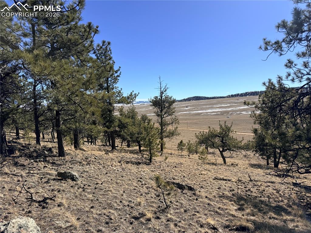 Image 30 of 36: Other