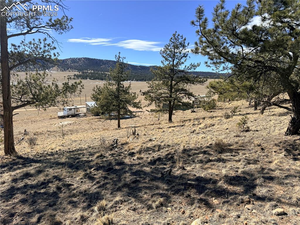 Image 31 of 36: View