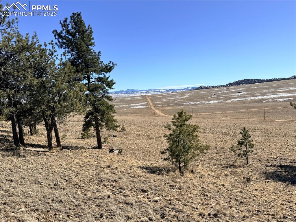 Image 33 of 36: Other