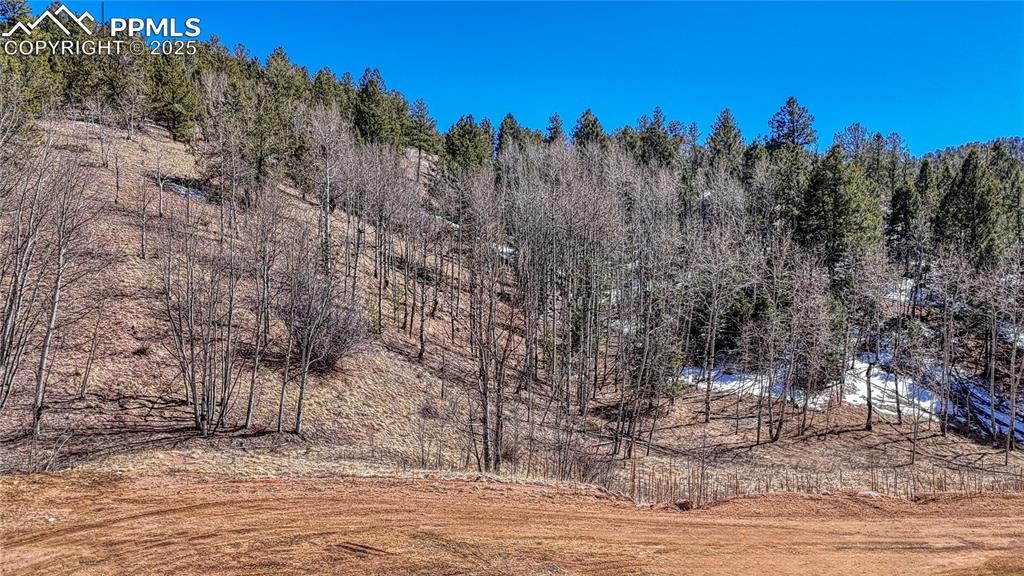 Image 15 of 26: Other