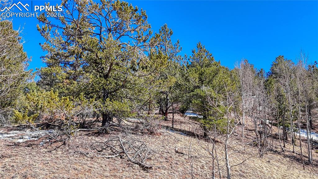 Image 16 of 26: Other