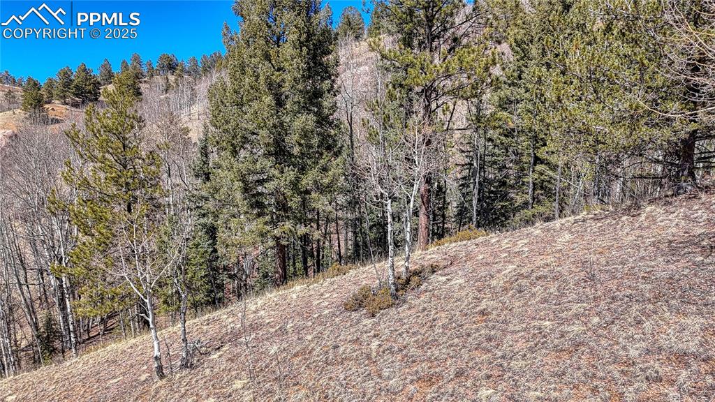 Image 19 of 26: Other