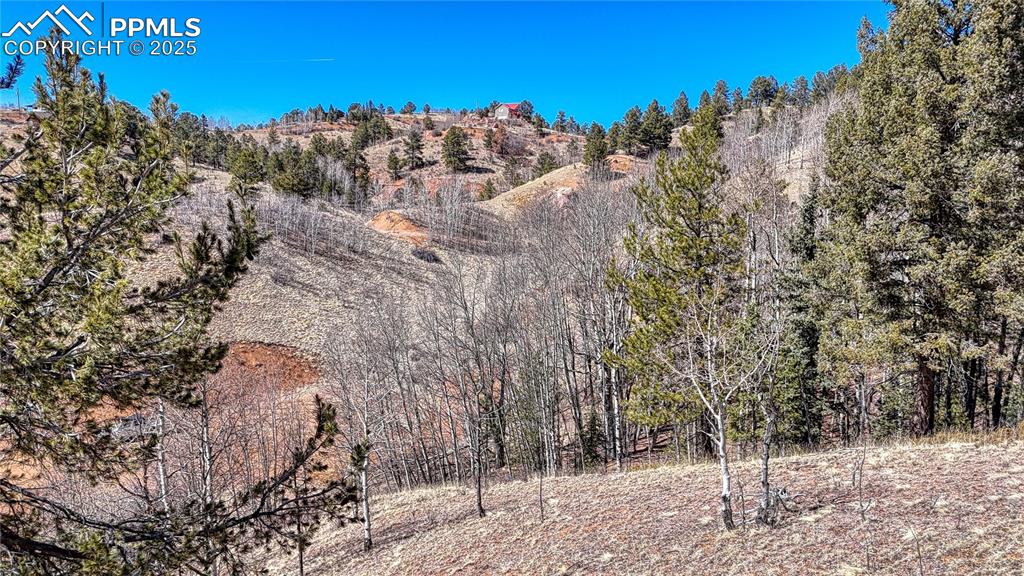 Image 4 of 26: Other