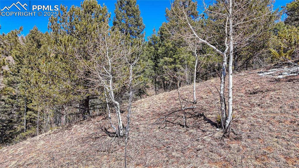 Image 7 of 26: Other