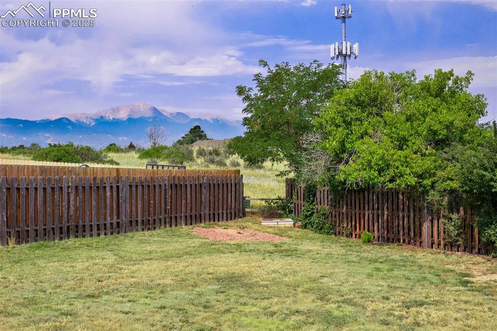 Image 45 of 49: Yard