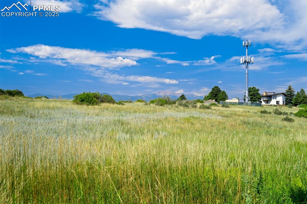 Image 46 of 49: Open area behind the house
