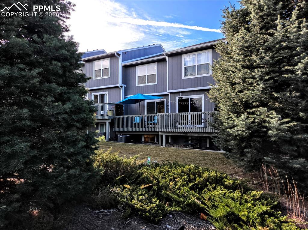 Image 36 of 48: Back of Structure