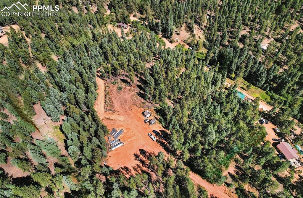 Image 22 of 27: Bird