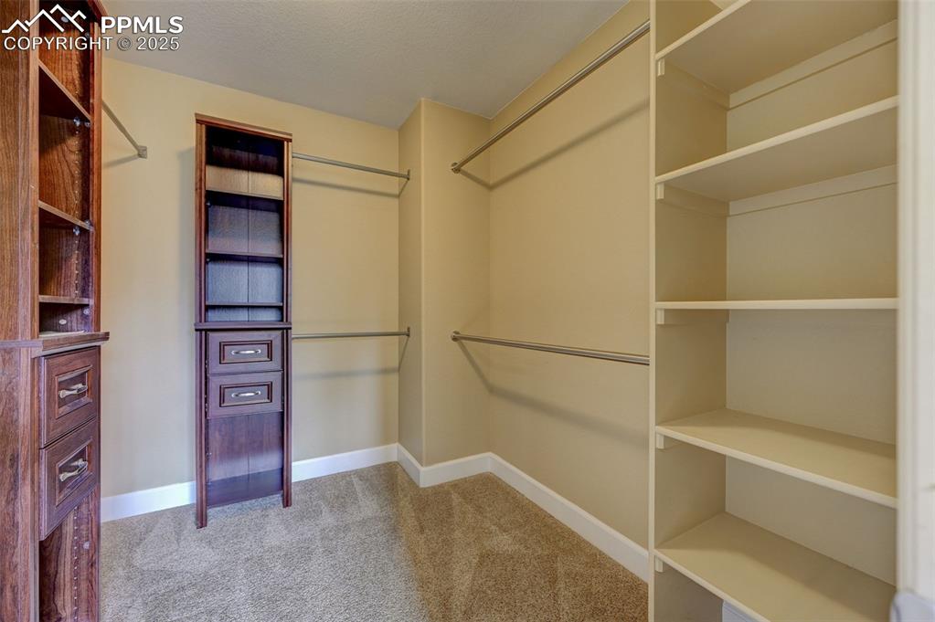 Image 18 of 30: Spacious closet with carpet floors