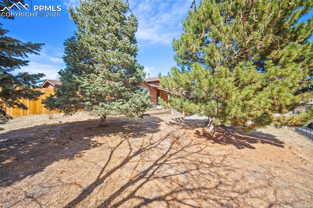 Image 29 of 46: Yard