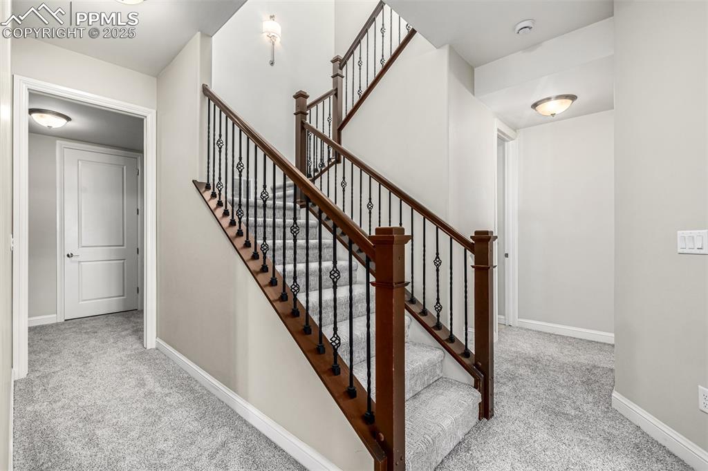 Image 15 of 50: Other