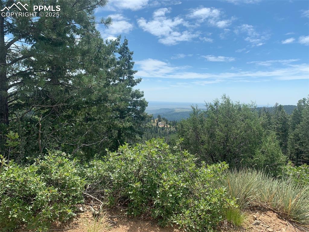 Image 12 of 16: More views