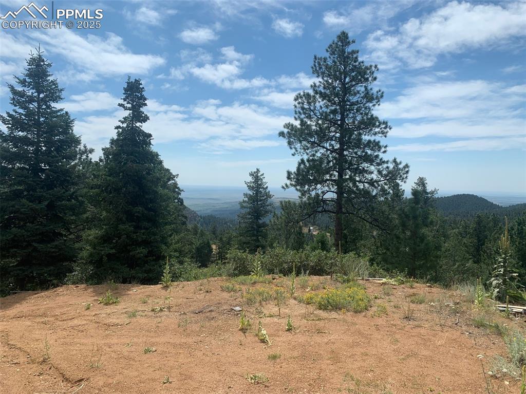Image 13 of 16: View from build site 1 parking area