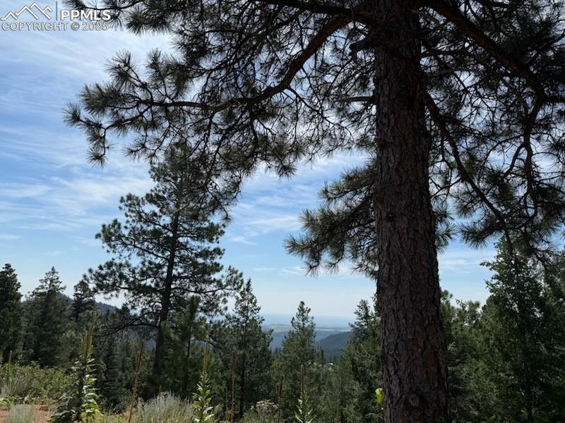 Image 3 of 16: with views for miles!