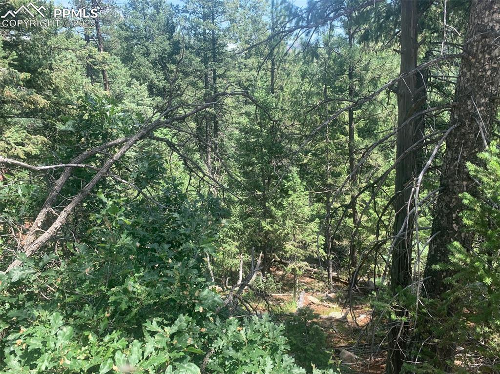 Image 4 of 16: Blaze your own trail