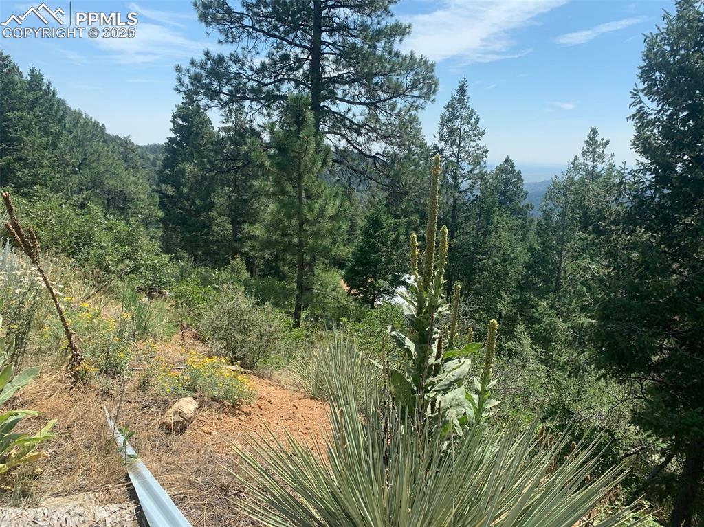 Image 8 of 16: Blaze a trail down to the lower build sites