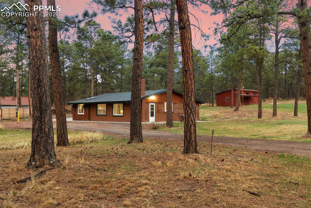 Image 28 of 34: Mature tress surrounding