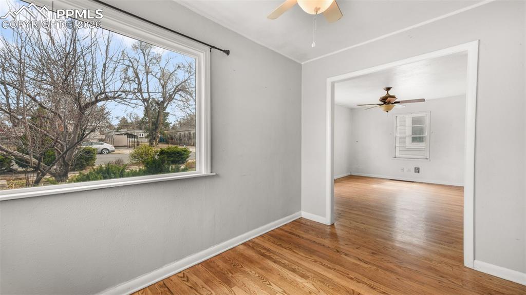 Image 19 of 50: Other