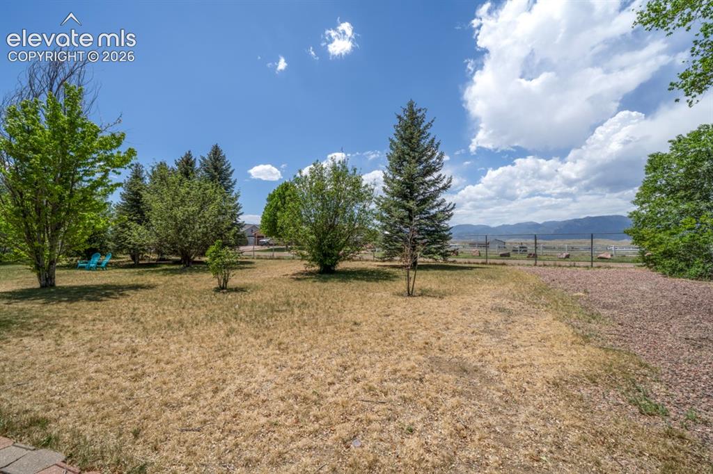 Image 34 of 42: Expansive yard featuring a mix of mature trees, natural grass, and a gravel