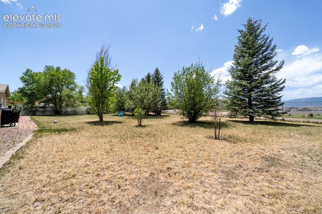 Image 7 of 42: Expansive outdoor area featuring a brick patio, mature evergreen trees, and