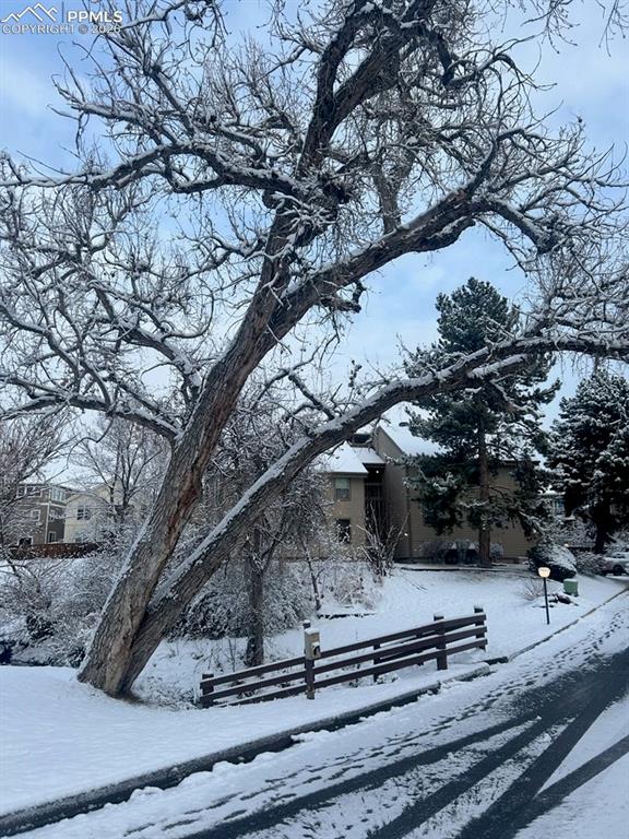 Image 37 of 38: View