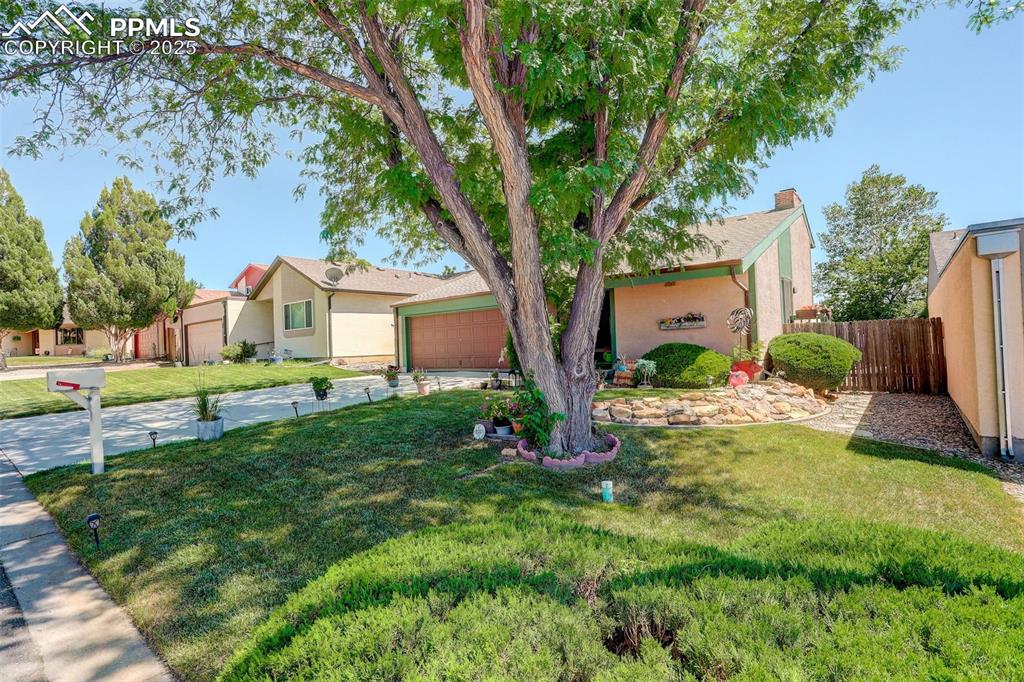 Image 6 of 46: Front of Structure