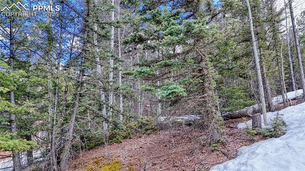 Image 16 of 17: Other