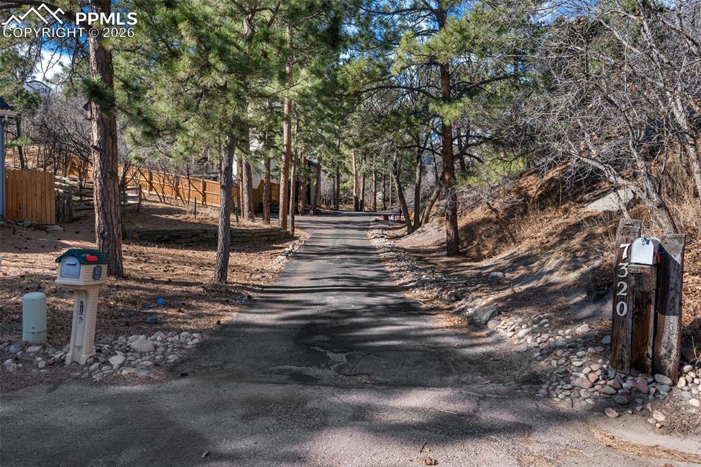 Image 32 of 40: Peaceful, tree-lined drive welcoming you home.