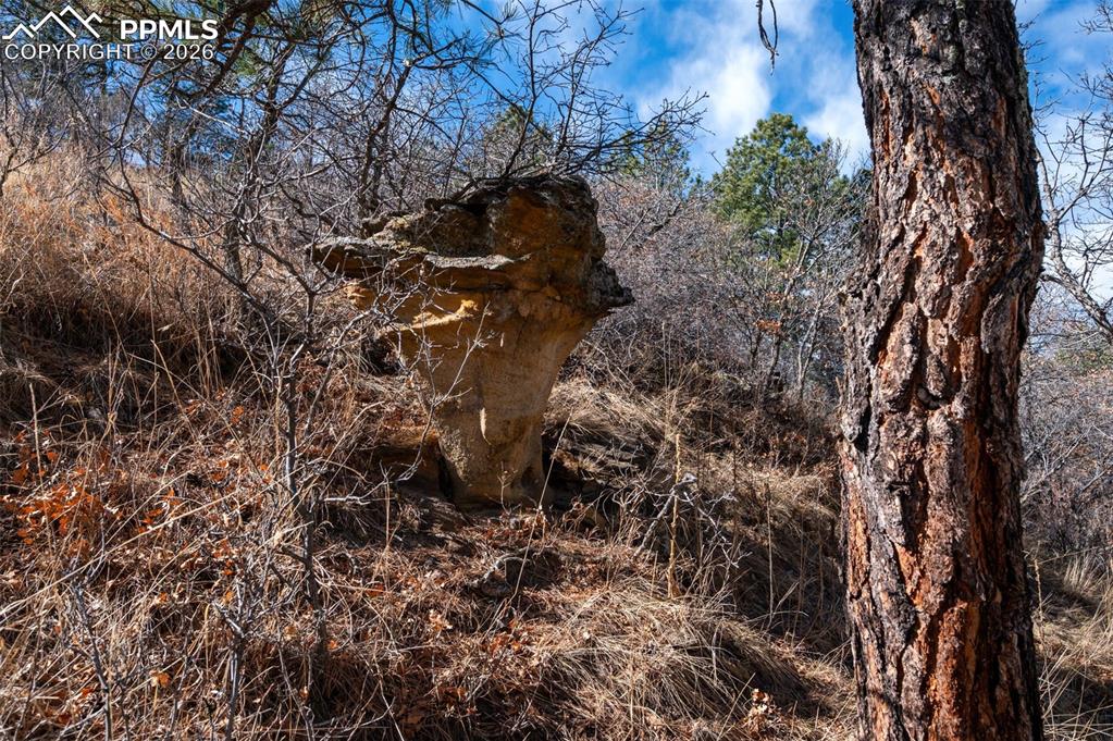 Image 37 of 40: Other